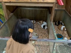 -上海大自然野生昆虫馆(东方明珠·爬宠昆虫探索中心)