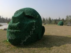 -上海佘山国家森林公园东门地面停车场