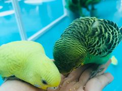 -核客电玩城(东门店)