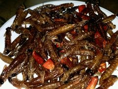 -88号小吃店·经典云南菜·地道纳西美食
