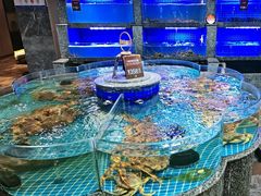-尊立方海鲜酒店·生日宴·家宴