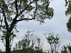 -上海月湖雕塑公园