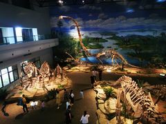 -自贡恐龙博物馆