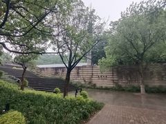 -美丽洲堂