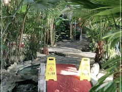 -大鹅岛绿色生态美食园