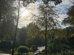 -中山市树木园