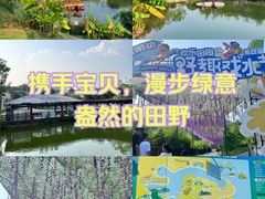 -黄龙溪欢乐田园
