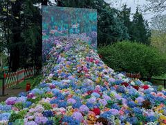 -上海共青森林公园