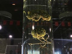 -广东中医药博物馆