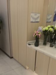 -碧莲盛不剃发植发