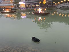 -德兴show鲜·蒸汽海鲜火锅餐厅(格创悦里店)