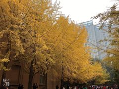 -辽宁大学(崇山校区)