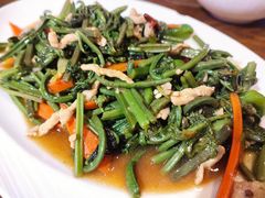 肉丝炒蕨菜-李老哈·东北菜(宋园路店)