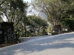 -广悦华阳朔河畔度假酒店(十里画廊遇龙河店)