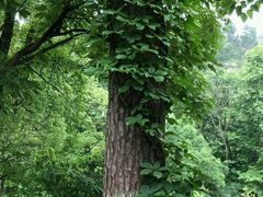 -贵阳市花溪国家城市湿地公园