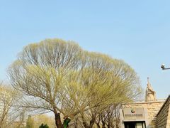 -元大都城垣遗址公园