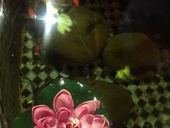-香叶草中餐厅(川白楼店)