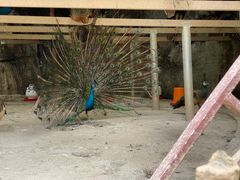 -梦幻奥陶纪景区