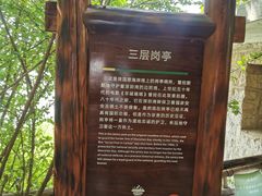 -华侨城湿地公园