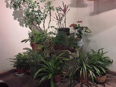-粘芭喃腊云南的菜