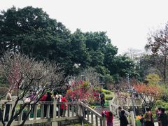 -乌山风景区