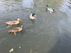 -白金汉爵大酒店(相城店)