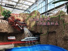 -兰陵国家农业公园