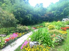 -上海共青森林公园