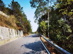 -广州白江湖森林公园