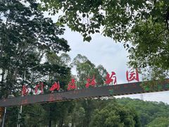 -凤岗南门山森林公园
