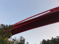 -金鸡山公园