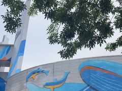 -海合安青岛极地海洋公园