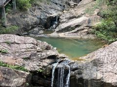 -广州白江湖森林公园