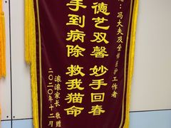 -中农国际动物医院24小时·猫科·骨科·急重症中心