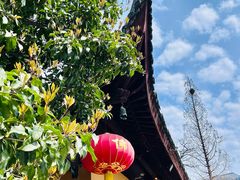 -龙华寺
