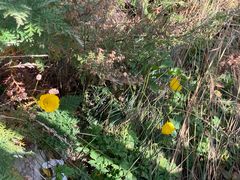 -白草畔自然风景区