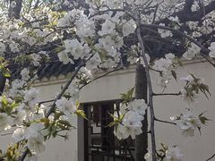 -堤角公园
