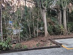 -三亚亚龙湾红树林度假酒店
