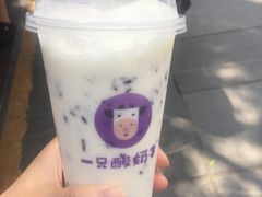 -一只酸奶牛(八一路店)