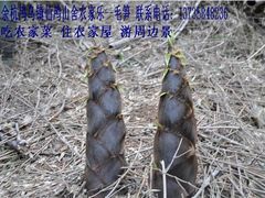 -仙山谷激浪漂流