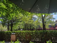 -北京石刻艺术博物馆(五塔寺)