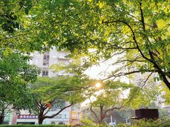 -荔香公园