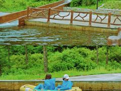 -苏木山森林公园