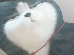 -鹏欣水游城