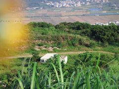 -大姆山草场