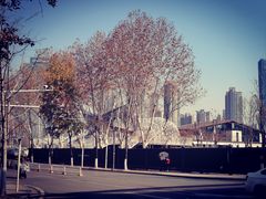 -后襄河公园