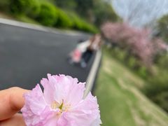 -宜兴龙背山森林公园