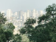 -金鸡山公园