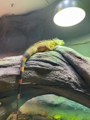 -Zoolung Zoolung动物主题公园(海信广场店)