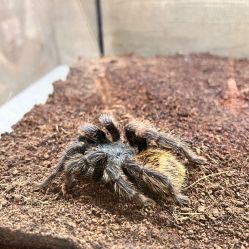 -Zoolung Zoolung动物主题公园(海信广场店)